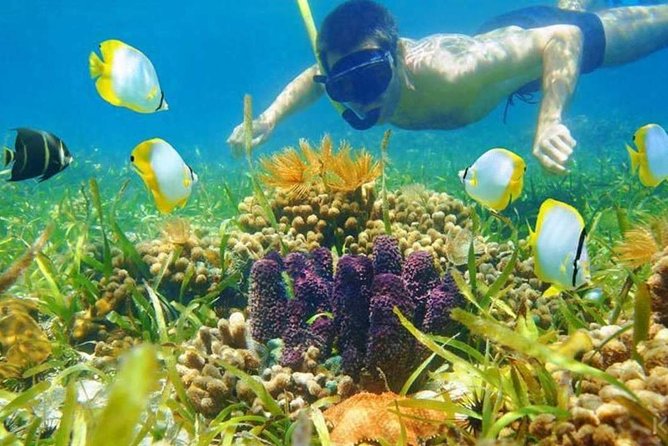 Sharm El-Sheikh: Snorkel & Camel Safari at Blue Hole - Overview of Sharm El-Sheikh