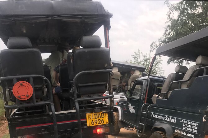 She Is Going to Udawalawe Safari (Safari Jeep Free)