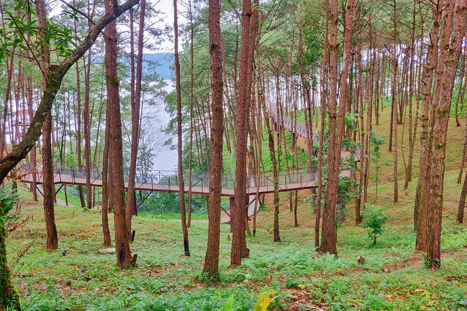 Shillong Nature Walk (3 Hours Guided Trekking Experience)