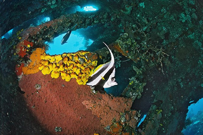 Shipwreck Diving At Tulamben - Equipment and Lunch Details