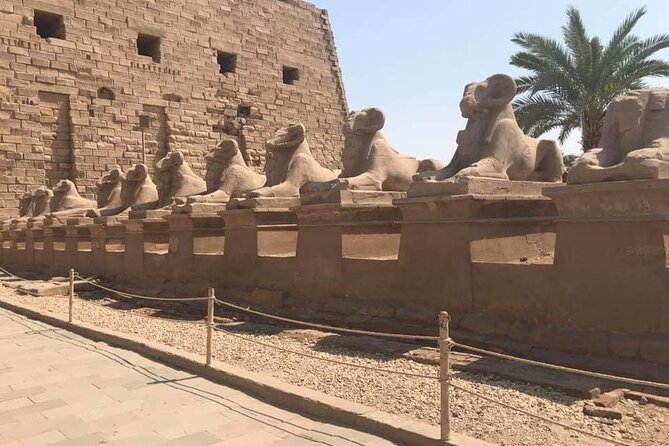 Shore Excursion: Day Tour to Luxor From Safaga Port