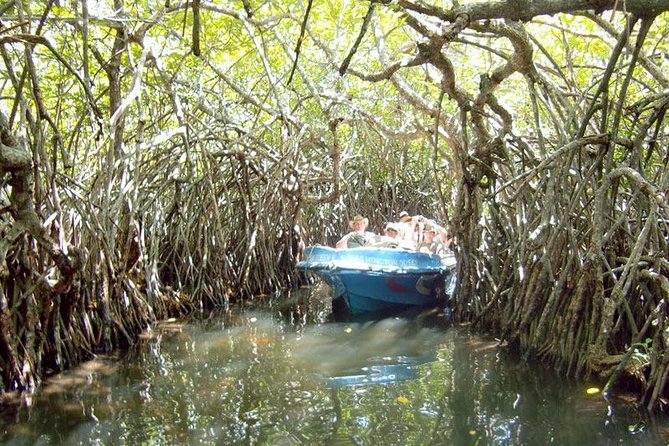 Shore Excursions to Mangrove Wetland Colombo. - What to Bring