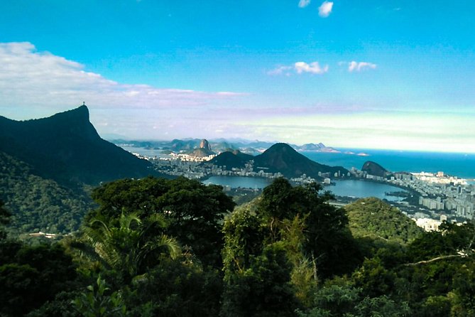 Sightseeing Through the Tropical Forest and the City of Rio
