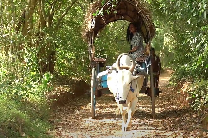Sigiriya and Dambulla Day Trip by Tuk-Tuk / Car From Sigiriya - Pickup Information