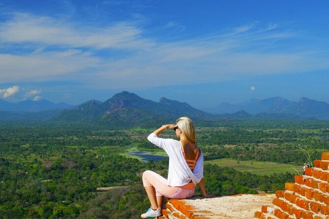 Sigiriya Rock and Minneriya Safari Private Day Tour - Tour Highlights