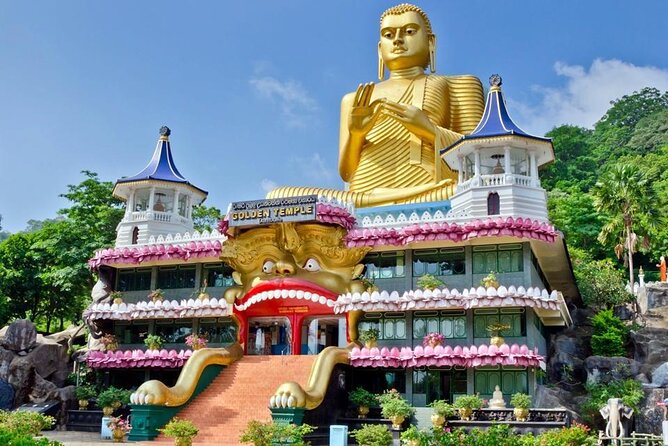 Sigiriya to Colombo Airport Departure Transfer - Vehicle Options and Customization