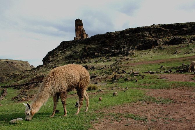Sillustani 1/2 Day Tour
