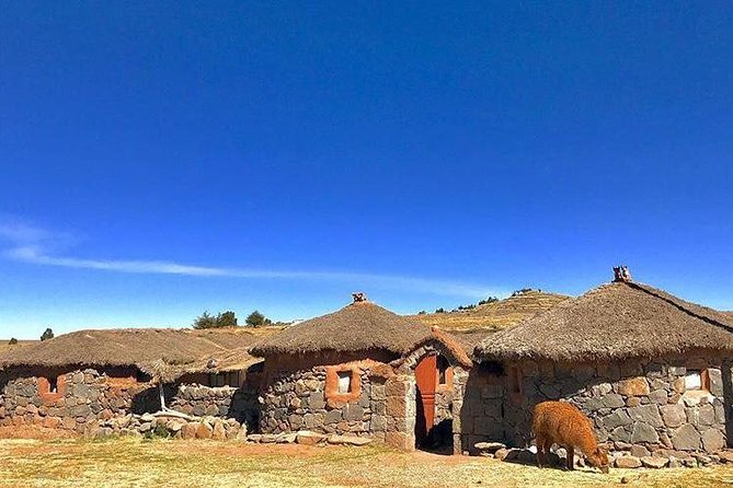 Sillustani / 4-Hour Tour From Puno - Overview of Sillustani Tour
