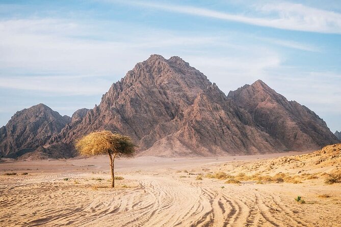 Sinai Desert Private Adventure Family Car Buggy – Sharm El Sheikh