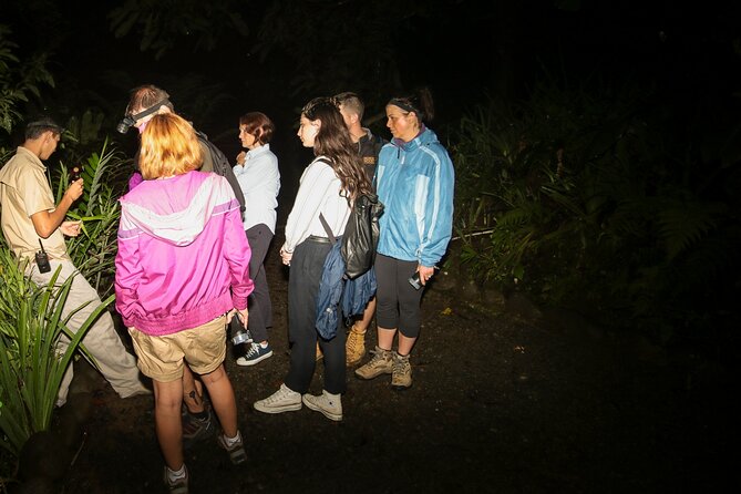 Síndria Twilight Walk Through the Rainforest - Tour Inclusions