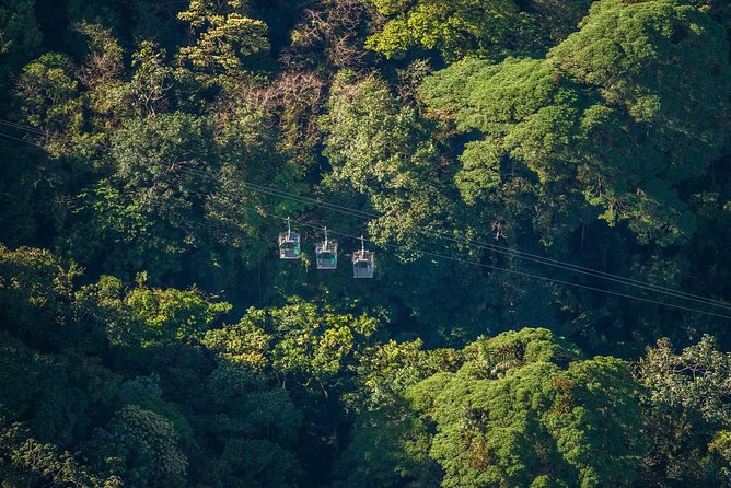 Sky Tram- Sky Trek & Arboreal Tree Climbing From Monteverde - Tour Overview