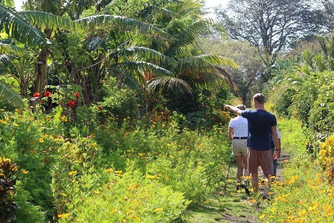 Small-Group Expedition of Ometepe Highlights With El Ceibo Museum