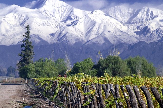 Small-Group Half Day Tour to Concha Y Toro Winery