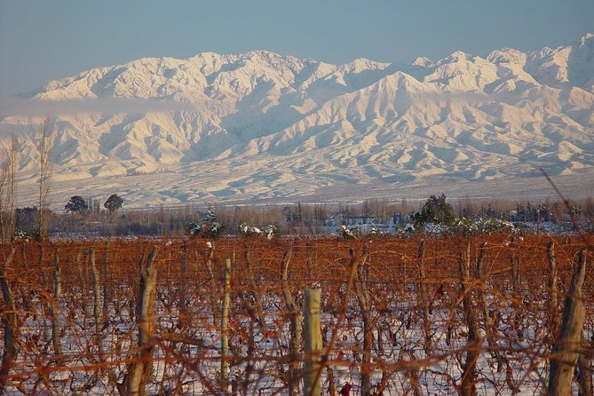 Small Group Tour in 3 Wineries in North Uco Valley With Lunch - Tour Details