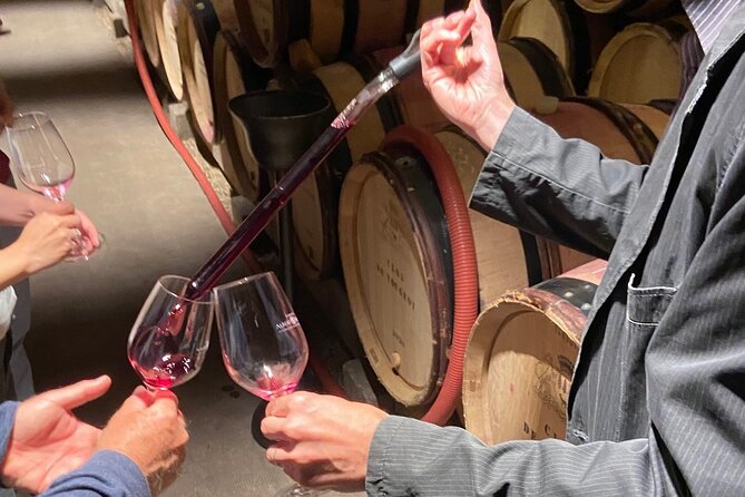 Small Group Wine Tasting Tour Côte De Beaune and Côte De Nuits - Tour Highlights