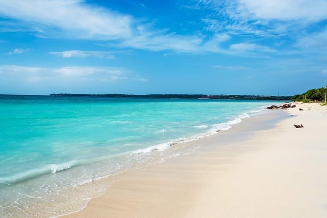 Snorkel Photos Thanks + Crystalline Beaches