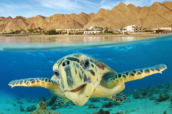 Snorkeling and Recreational Trip Tosharm El Naga Bay From Hurghada - Trip Overview