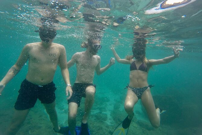 Snorkeling On Beautiful Rock Island - Unawatuna by Boat