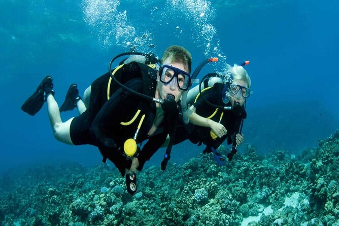 Snorkeling Sea Excursion to Paradise Island in Hurghada