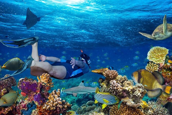 Snorkeling Trip In Tiran Island By Boat In Sharm El Sheikh