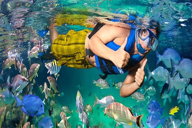 Snorkeling Trip to Giftun Island