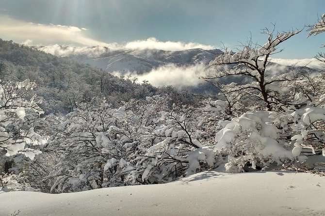 Snow Excursion in Bariloche – Suitable for the Whole Family
