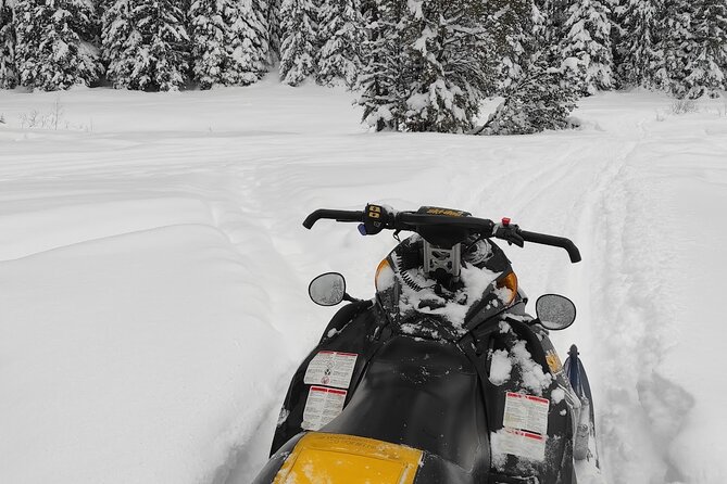 Snowmobile Tours Next to Sofia in Petrohan Pass - Pickup Information