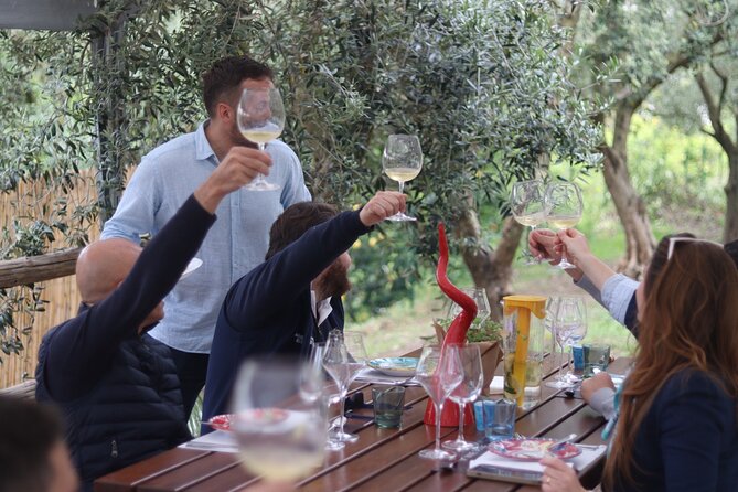 Sorrento Wine Tasting Experience