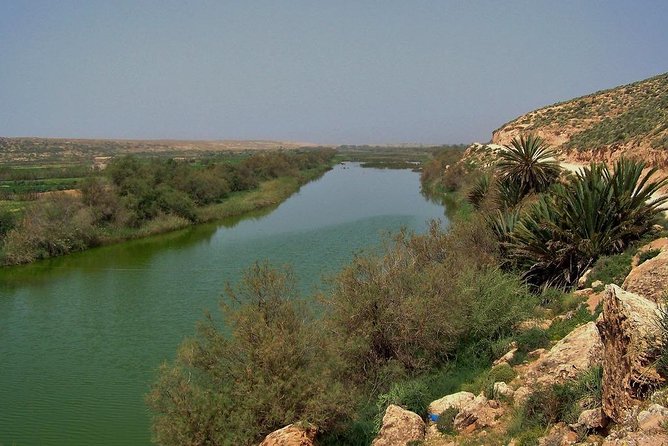 Souss Massa National Park From Agadir - Scenic Tours and Activities