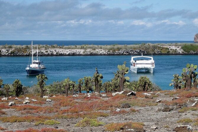 South Plazas and Punta Carrion Day Tour:Land Iguanas & Snorkeling - Itinerary Overview