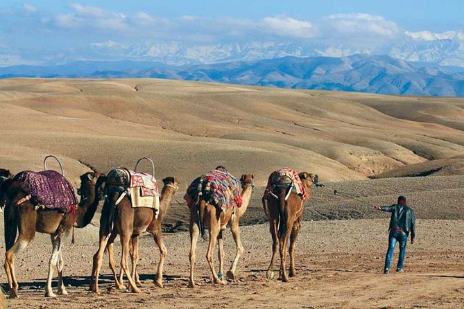 Spa Treatment and Magical Lunch Camel Ride in Agafay Desert