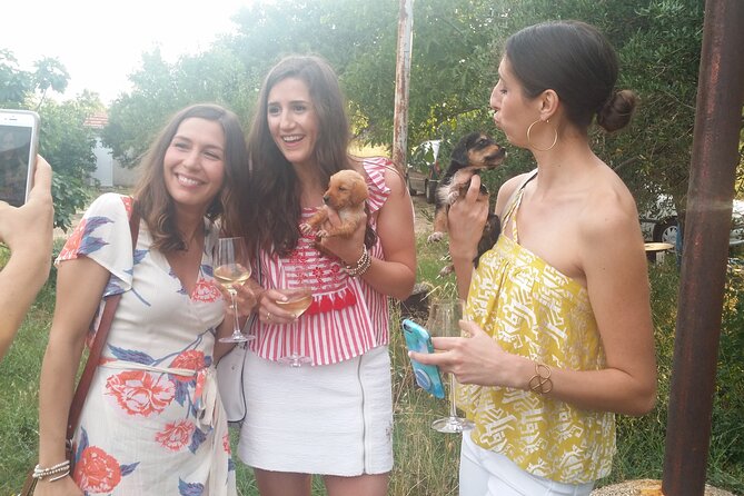 Split Wine Tour-Indigenous Sorts of Kastela Region