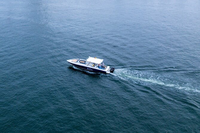 Sports Boat Rental Cap. 11 People for the Islands