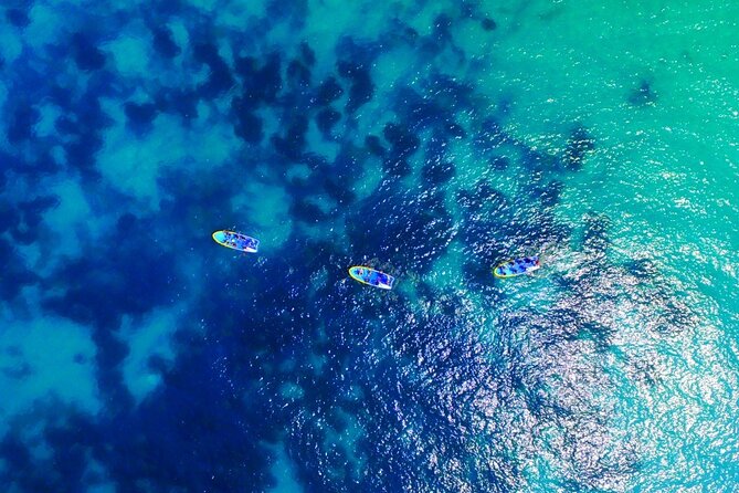 Stand up Paddle Through Green Coast