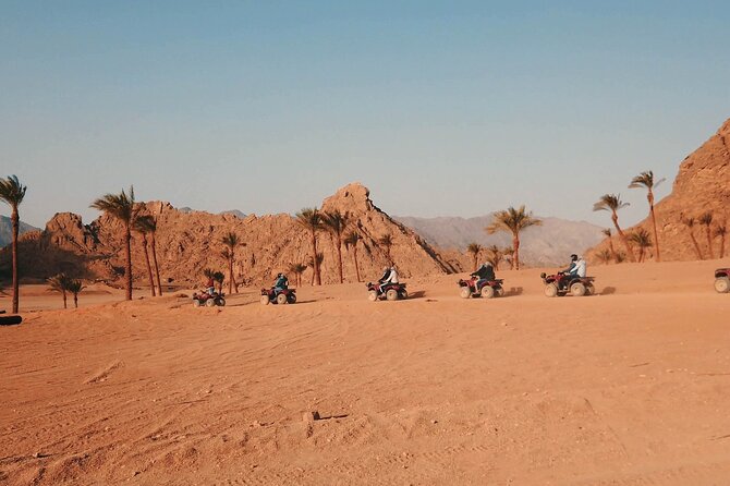 Star Gazing Safari Tour by ATV Quad & Dinner- Sharm El Sheikh - Tour Details