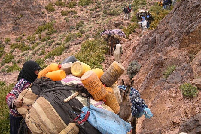 Stay on the Mont-Saghro