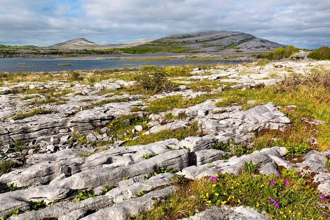 Stones & Stories Private Walk. Burren, Co Clare. Guided. 2 Hours. - Whats Included