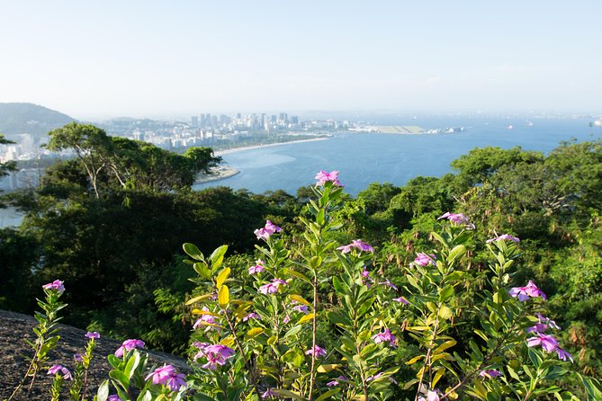 Sugarloaf Mountain Private Tour & Photo Shoot – Unlimited Digital Album