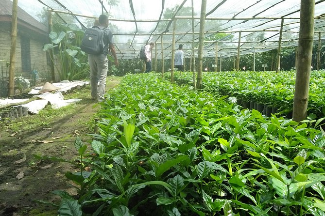 Sumatra Coffee Tour - Location Details