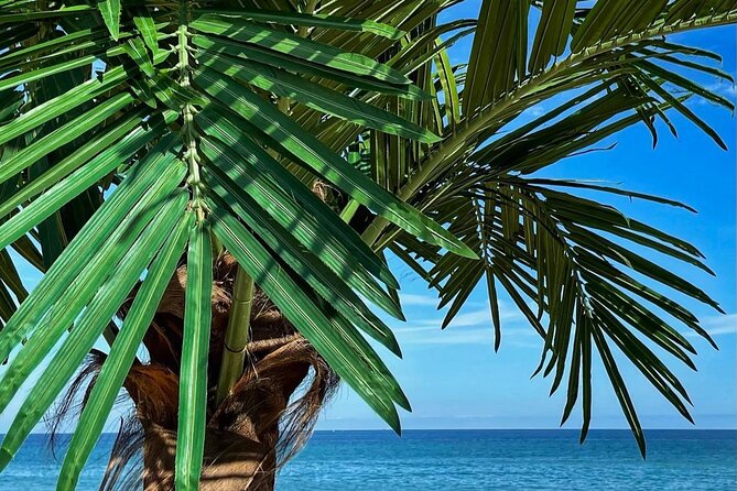 Summer Season Round Trip for Seorak Mountain and Surfy Beach - Inclusions and Exclusions