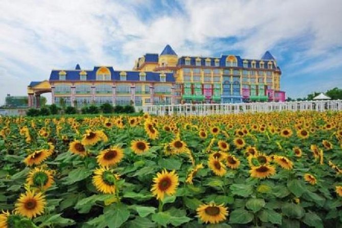 Sunflower Garden and Wild Bird Wetland Park Private Tour - Itinerary Overview