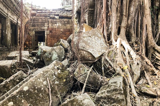 Sunrise Cycling Of Angkor Wat Temple - What to Expect