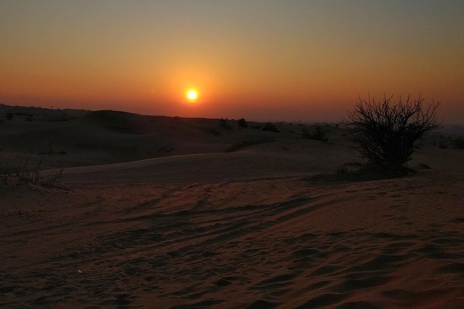 Sunrise Desert Safari Dubai Start From 4:00 AM Private Basis