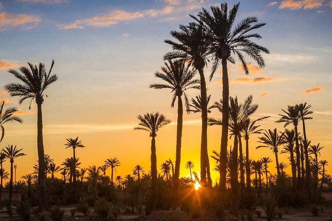 Sunset Camel Ride in the Palmeraie Oasis - Inclusions and Pickup