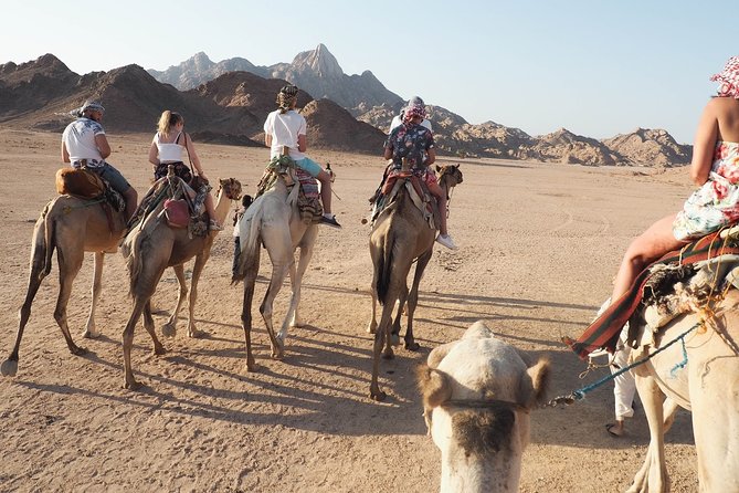 Sunset Desert Quad Bike Safari With Camel Ride and Bedouin Dinner From Hurghada - Tour Highlights