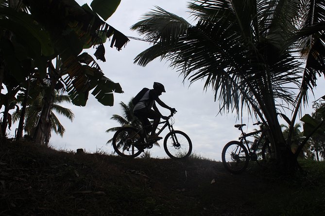 Sunset Ride Along Alappuzha Coast - Cancellation Policy