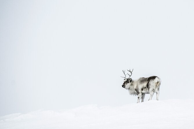Svalbard Discover the Mining Settlement of Pyramiden - Pyramiden: A Historic Mining Settlement