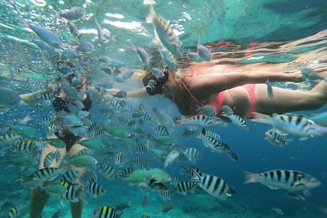 Swim With Manta Rays : Snorkeling Day Trip From Bali - Activity Details