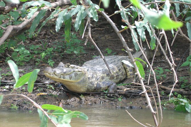 Tambopata National Reserve Tour (3 Days) - Accommodation Details