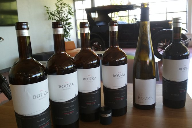 Tannat & Other Wines Tour With Classic Cars Museum